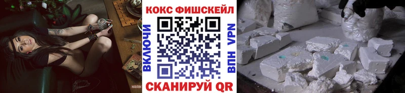 купить наркоту  Высоцк  hydra зеркало  COCAIN Fish Scale 