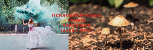 прущие грибы Белокуриха