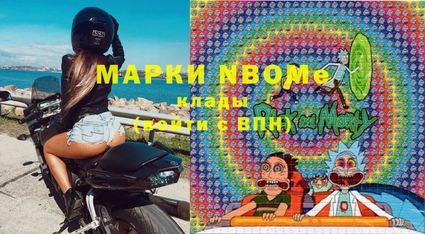 прущие грибы Белокуриха