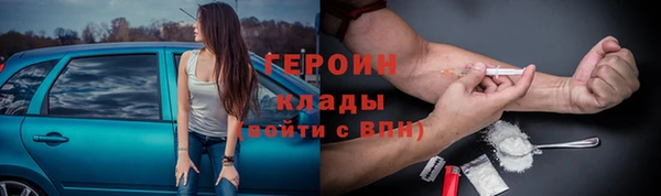прущие грибы Белокуриха
