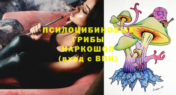 молекула духа Белоозёрский