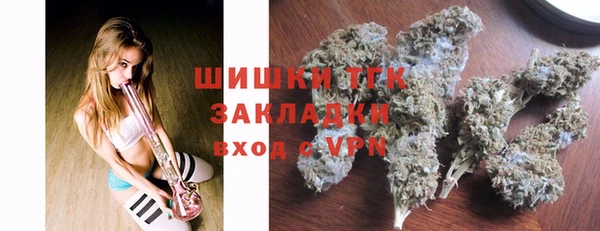 прущие грибы Белокуриха