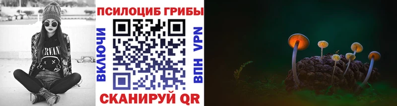 Галлюциногенные грибы ЛСД  hydra ссылки  Высоцк 